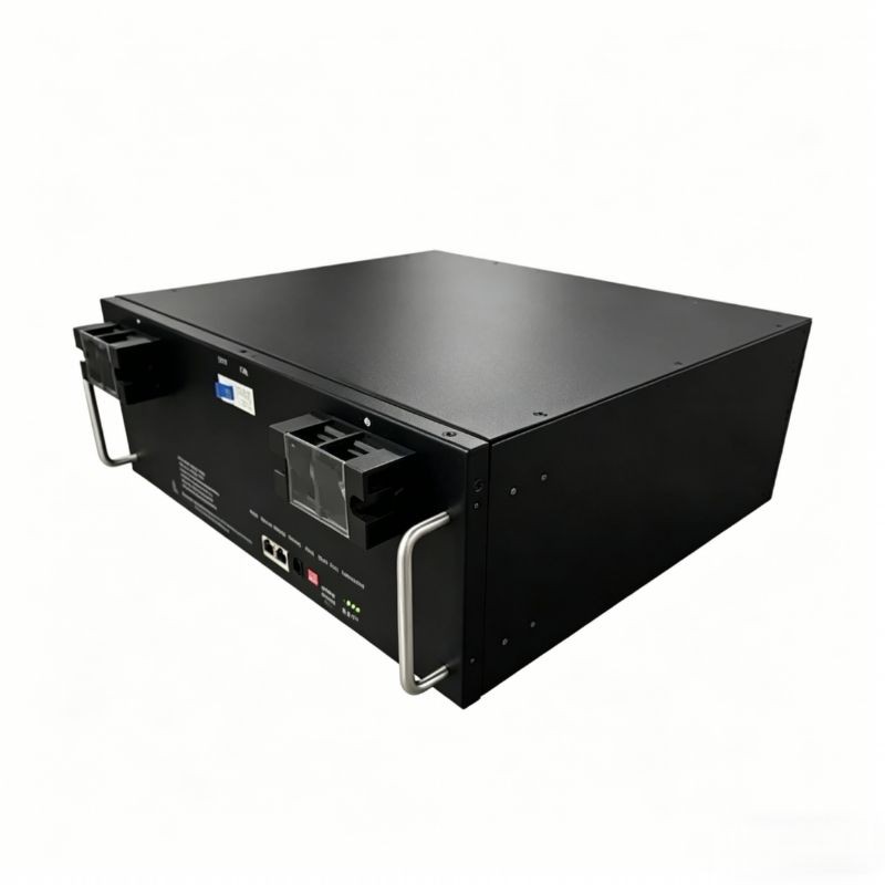 48V LiFePO4 Battery Pack